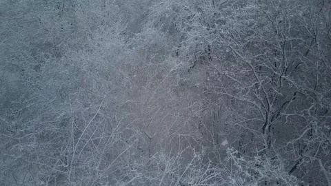 Heavy snow, winter, the camera flies past trees Stock Footage 127420938