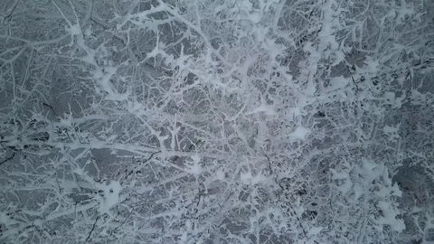 Heavy snow, winter time the camera flies close to the trees Stock Footage 127419955