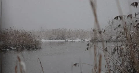 Heavy snowfall, 4K slomo Stock Footage 168906449