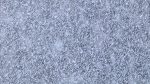Heavy snowfall against the background of trees Stock Footage 249328255