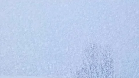 Heavy snowfall against the background of trees Stock Footage 249329427