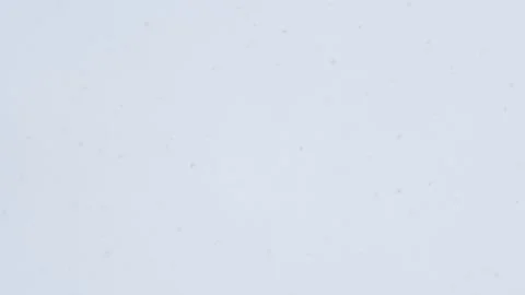 Heavy Snowfall Against a Bright Sky Abstract Winter Background Loop Stock Footage 345634127