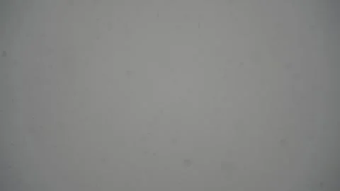 Heavy snowfall against grey winter sky in background. Lens blur Stock Footage 257560813