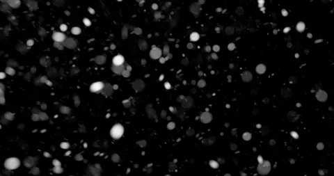Heavy snowfall - alpha matte, seamless loop Vídeos de archivo 92125370