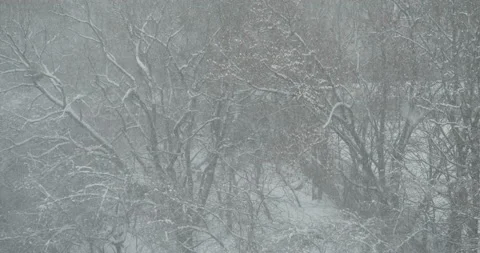 Heavy snowfall and poor visibility in the city Stock Footage 164642043