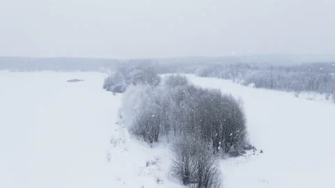 Heavy snowfall and wind in the forest in winter Vídeo Stock 166364000