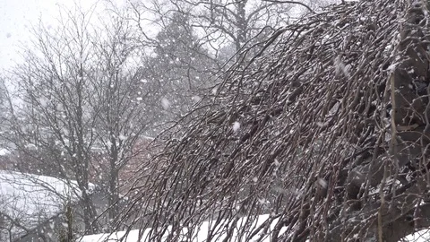 Heavy snowfall and wind in a suburb Stock Footage 88121537