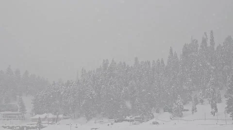 Heavy snowfall in the background of trees horizontal panning Stock Footage 45796083
