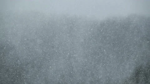 Heavy Snowfall on the Background of the Winter Forest, Snowstorm, Blizzard Stock Footage 167653362