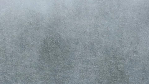 Heavy Snowfall on the Background of the Winter Forest, Snowstorm, Blizzard Stock Footage 168606685