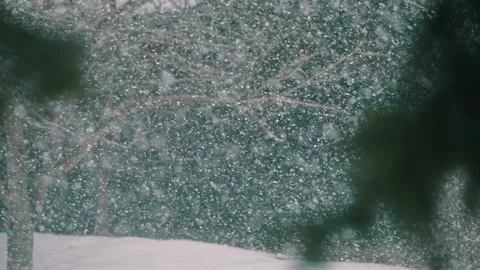 Heavy Snowfall in Backyard with Trees and Fence Stock Footage 313386938