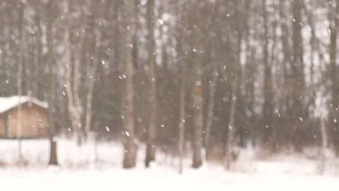 Heavy snowfall. Beautiful forest landscape of snow and blurred trees. Gently 動画素材 335587544
