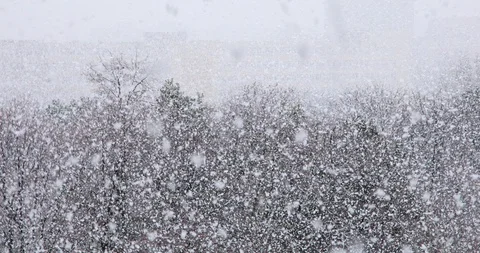 Heavy snowfall - big snow flakes falling Video stock 129707885