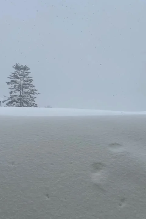 Heavy Snowfall Blankets Quiet Winter Valley. Stock Footage 321654690