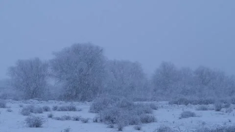 Heavy snowfall blankets a serene winter landscape with trees in the distance Vidéo 301917372