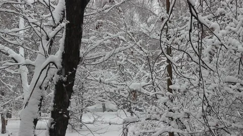 Heavy snowfall in the city in early spring Stock Footage 156548520
