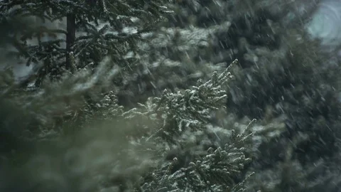 Heavy snowfall in the city. Stock Footage 69961980