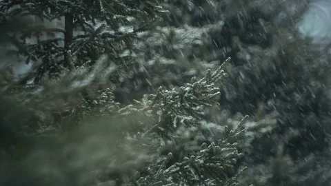 Heavy snowfall in the city. Stock Footage 69962001