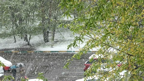 Heavy snowfall in the city Stock Footage 98492815