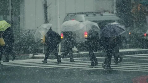 Heavy Snowfall in the City Stock Footage 332832982