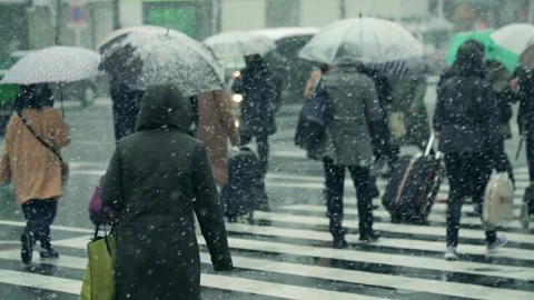 Heavy Snowfall in the City Stock Footage 332832987