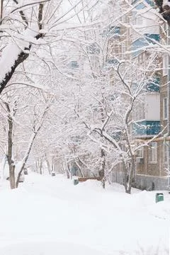 Heavy snowfall in the city outside the window. Snow and wind blizzard in wint Stock Photos