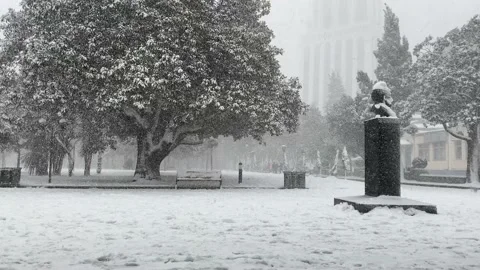 Heavy snowfall in the city park Stock Footage 166337525