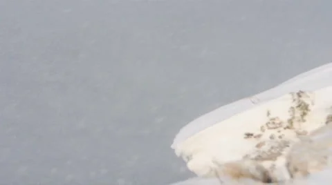 Heavy Snowfall On An Cliff Stock Footage 953870