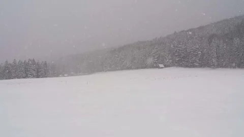 Heavy snowfall in the countryside in the forest Stock Footage 321493841