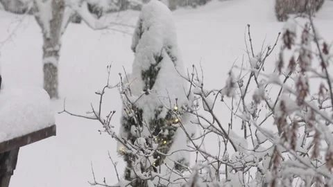 Heavy snowfall covering trees in a winter garden Stock Footage 330062866