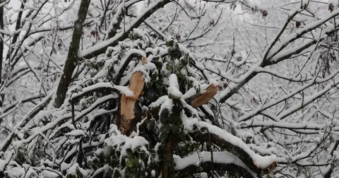 Heavy snowfall damage Video stock 84036262
