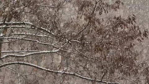 Heavy snowfall during a blizzard, weather conditions Stock Footage 165242582