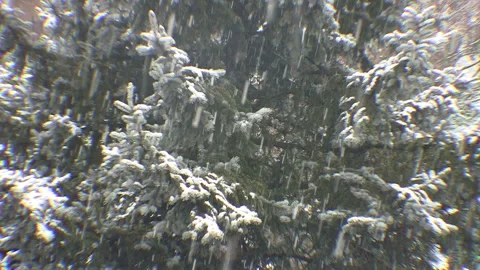 Heavy snowfall during the day Stock Footage 142084032