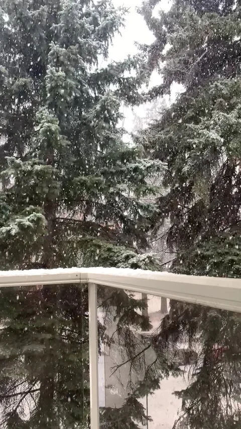 Heavy Snowfall during Winter Stock Footage 261339337