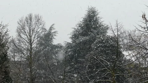 Heavy snowfall dynamic view Stock-Footage 142820782