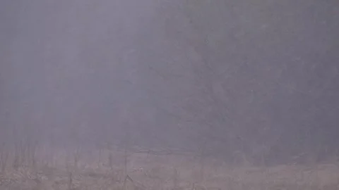 Heavy snowfall in early spring Video stock 283548926