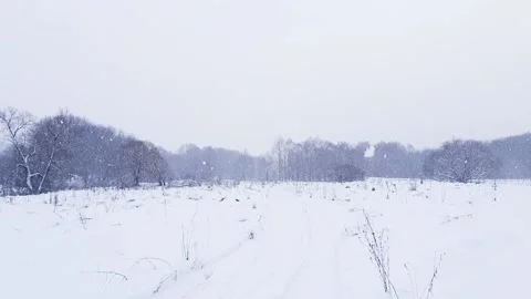 Heavy snowfall in the field in winter Stock Footage 146698315