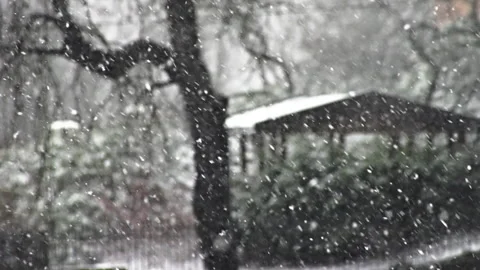 Heavy snowfall with focus on the snow flakes Stock Footage 268691979
