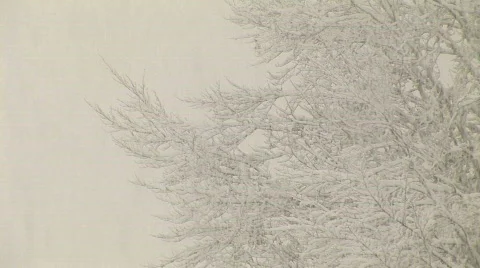 Heavy snowfall Vídeo Stock 532869