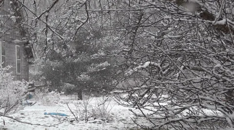 Heavy Snowfall Vídeo Stock 22639264