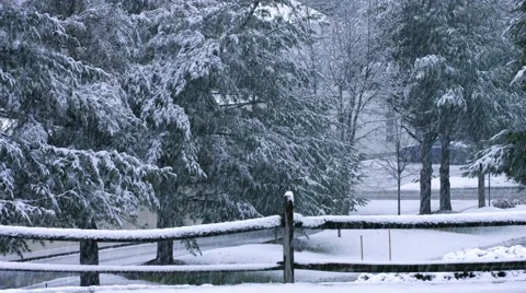 Heavy Snowfall Stock Footage 44344021