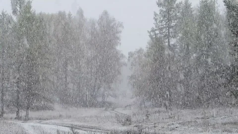 Heavy snowfall Stock Footage