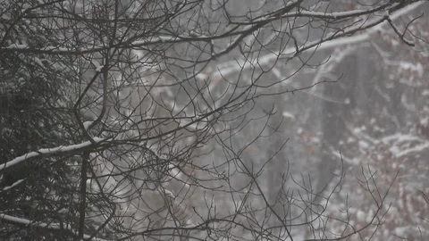Heavy snowfall Stock Footage 86425833