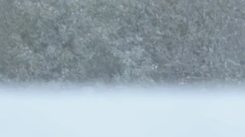 Heavy snowfall. Stock Footage 144001561