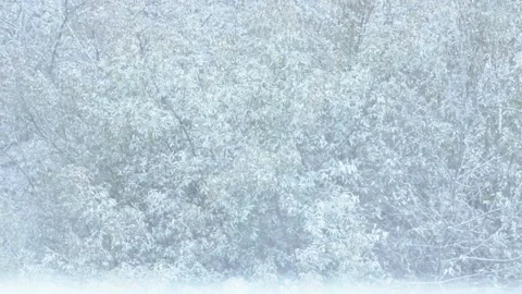 Heavy snowfall. Stock Footage 144001593