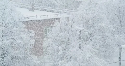 Heavy snowfall Stock Footage 146484919