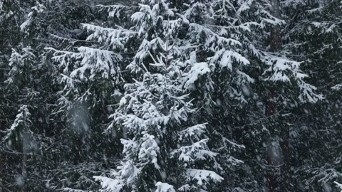 Heavy snowfall Stock Footage 148116680