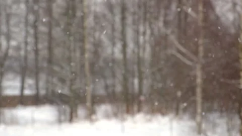 Heavy snowfall at forest. Beautiful winter landscape of snow and blurred trees Video stock 166505649