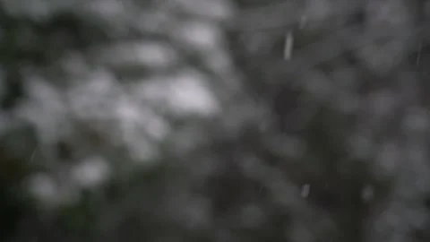 Heavy snowfall with a forest blurred in background. Lens blur, out of focus. Video stock 256792029