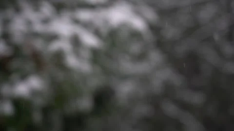 Heavy snowfall with a forest blurred in background. Lens blur, out of focus Stock Footage 257560816
